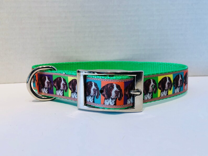 German Shorthaired Pointer Dog Collar GSP Dog Collar German Etsy