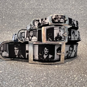 Elvis Images Pet Collar, Elvis Dog Collar, Elvis Cat Breakaway Collar,