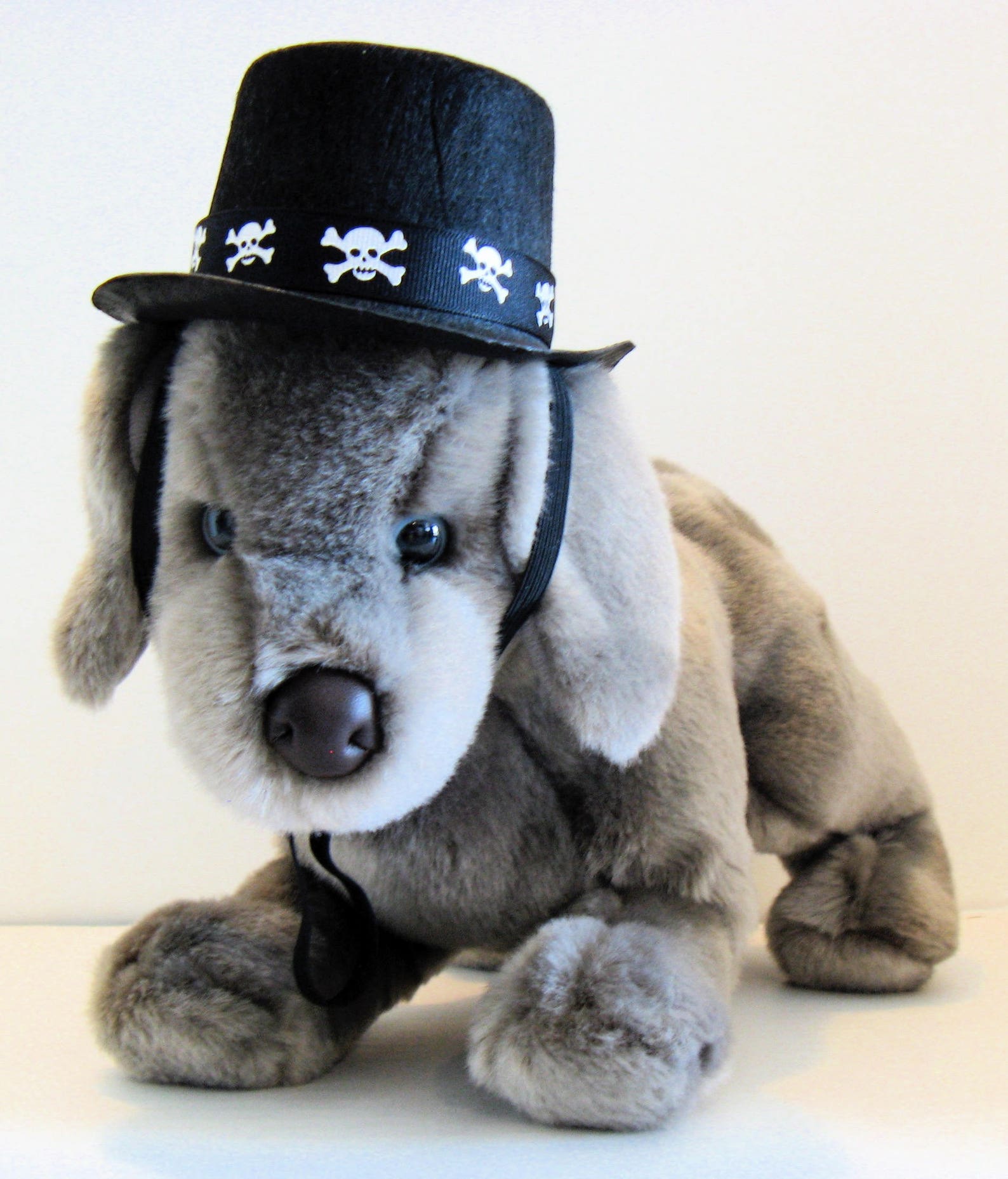 Gentlepaw Top Hat for Dogs Etsy