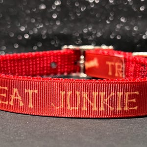 Treat Junkie Dog Collar