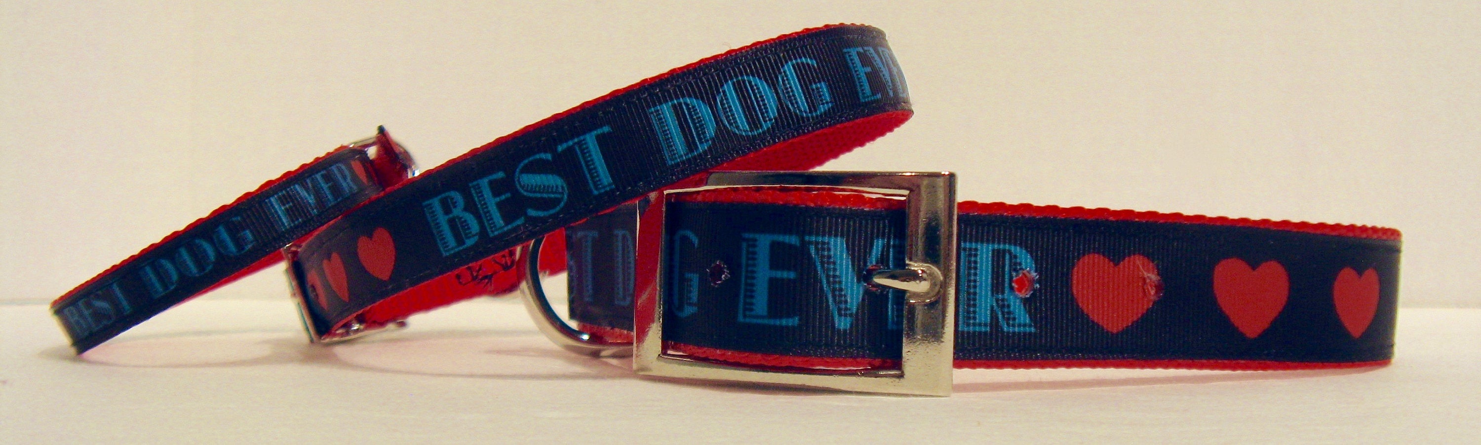 BEST DOG EVER Dog Collar Small Dogs Medium Dogs Etsy