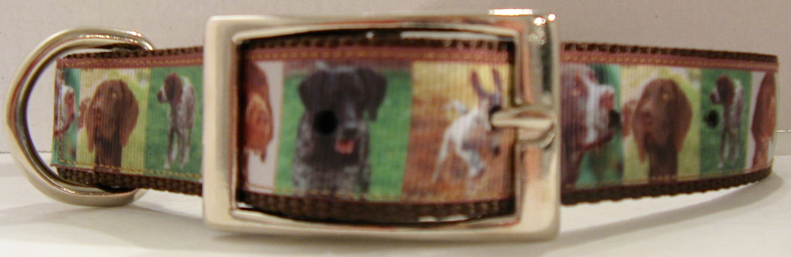 German Shorthaired Pointer Dog Collar GSP Dog Collar German Etsy