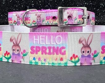 Hallo lente-halsband