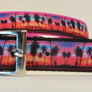 May include: A dog collar with a sunset and palm tree design in pink, orange, and blue. It has a silver-coloured metal buckle and a bright pink edge.