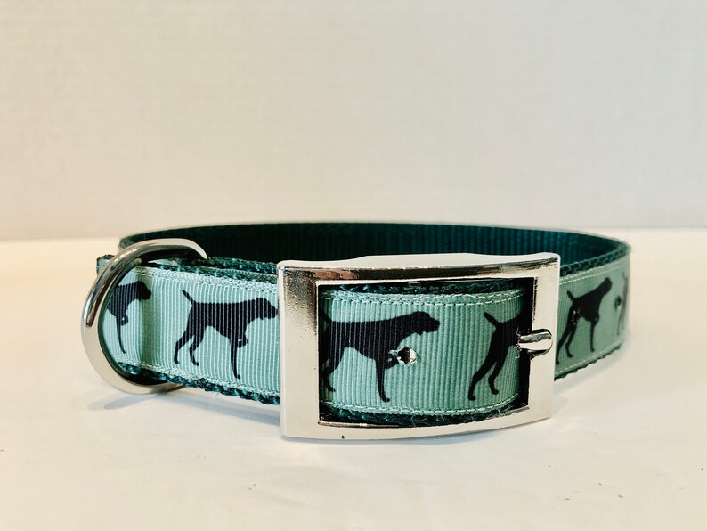 German Shorthaired Pointer Dog Collar GSP Dog Collar German Etsy