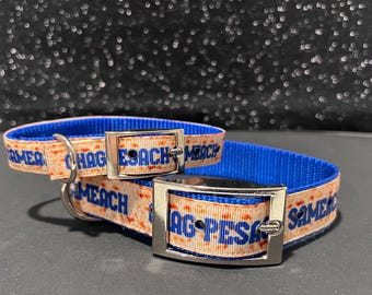 Collar para perro de PÉSAJE - Listo para el Séder - Adorno de cinta de matzá - Collar para perro Chag Pesach Sameach