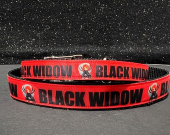 Black Widow Dog Collar: Nylon Breakaway Cat Collar
