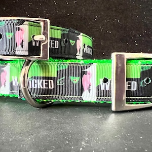 WICKED Dog Collar, Wicked Inspired Dog Collar,
