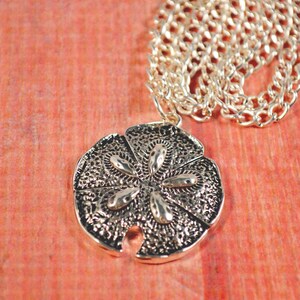 May include: A silver chain necklace with a silver sand dollar pendant. The sand dollar pendant has a detailed design and is on a red background.