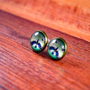 May include: A pair of stud earrings with a green, blue, and white raccoon design. The earrings are made of metal and have a shiny finish.
