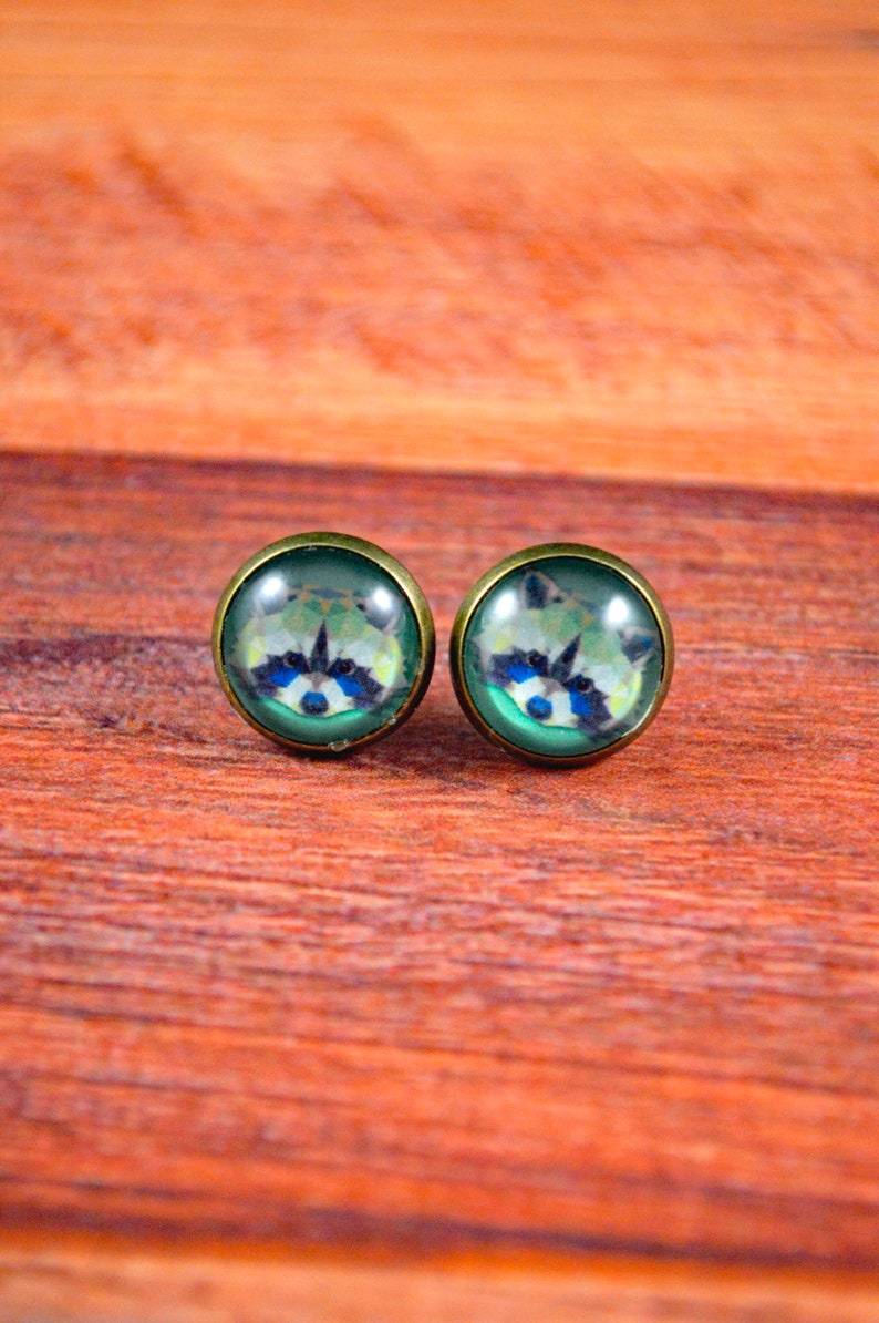 May include: A pair of stud earrings with a green background and a white and black raccoon face image.