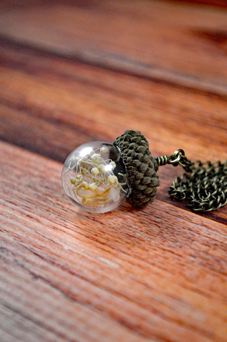Cute Acorn Gift Seed Jewelry Seed Necklace Nature Gift Nature Necklace Acorn Jewelry Woodland Necklace Acorn Necklace