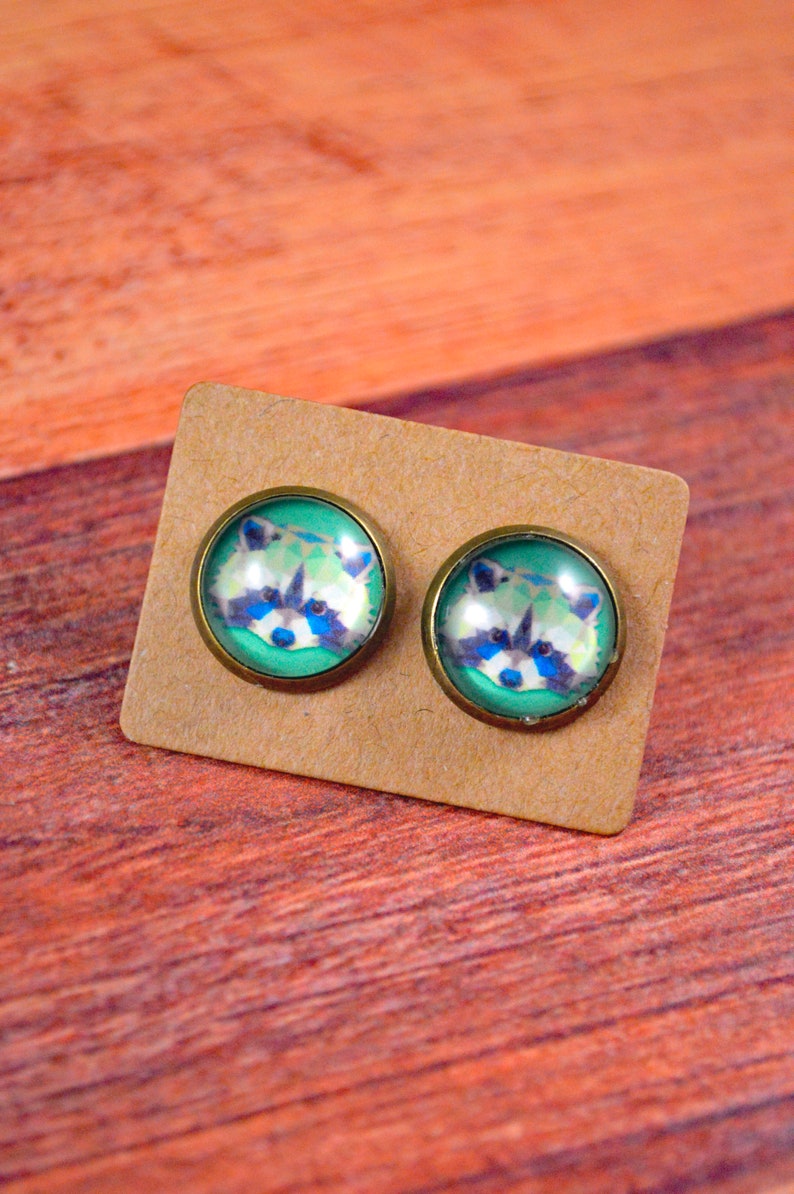 May include: A pair of stud earrings with a green background and a raccoon face image.