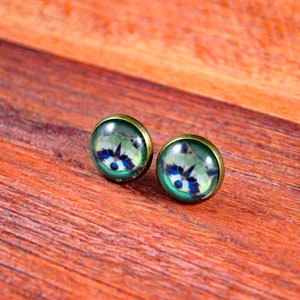 May include: A pair of stud earrings with a raccoon face design. The earrings are made of metal with a bronze finish and have a clear glass cabochon with a colorful raccoon face image.
