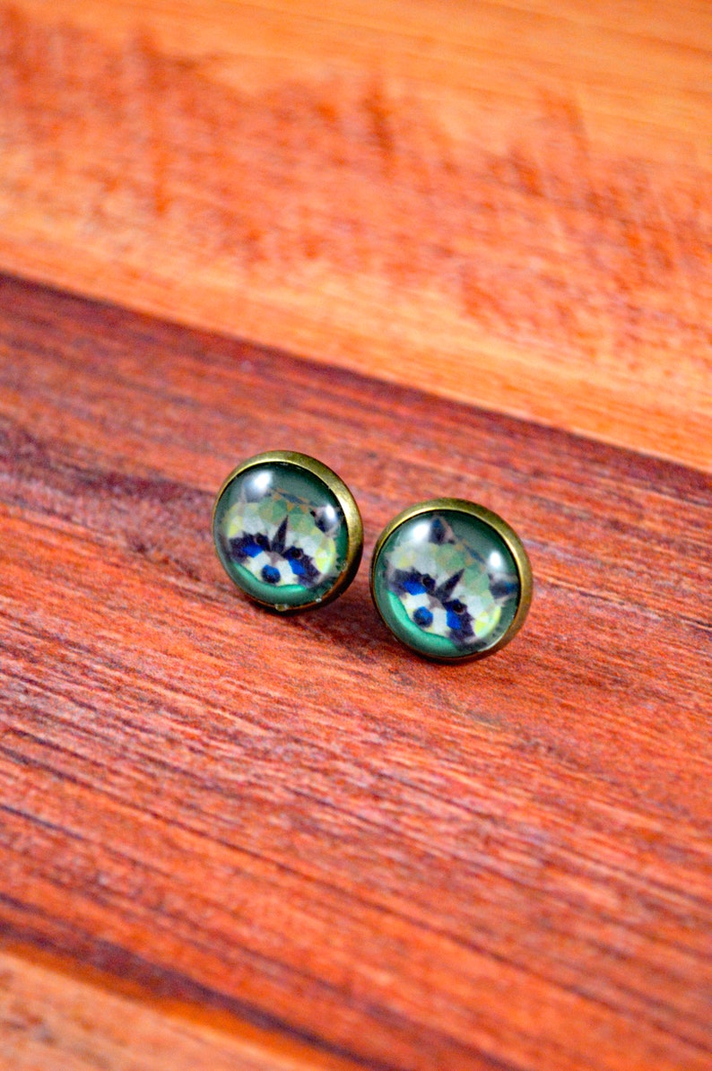 May include: A pair of stud earrings with a raccoon face design. The earrings are made of metal with a bronze finish and have a clear glass cabochon with a colorful raccoon face image.