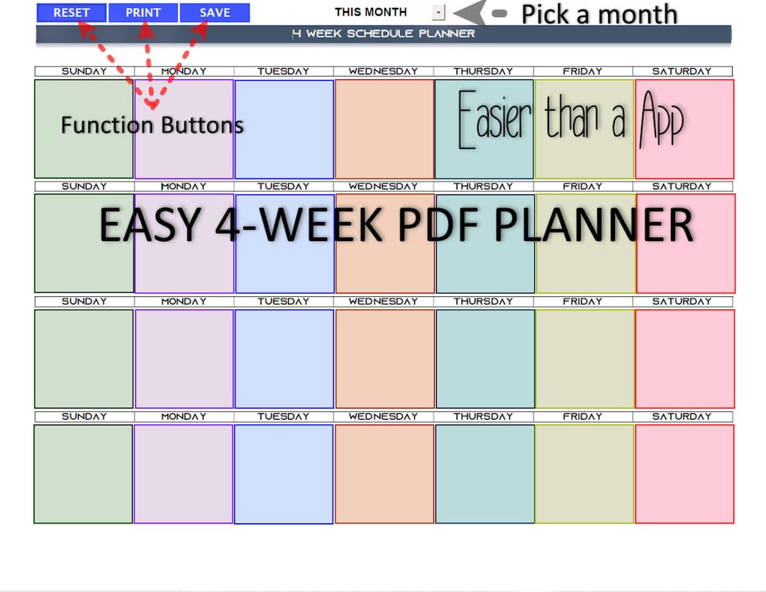 PDF Fillable 4 Week Planner - Etsy