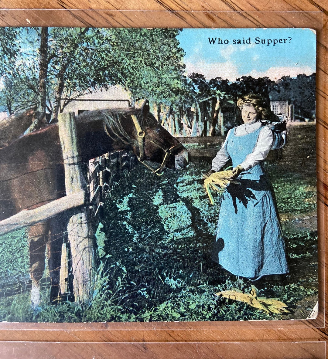 Adorable Vintage Horse Postcards Etsy