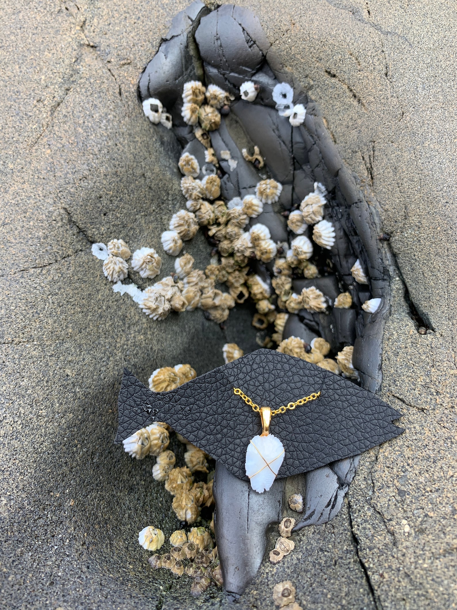 Halibut Otolith Necklace Etsy New Zealand