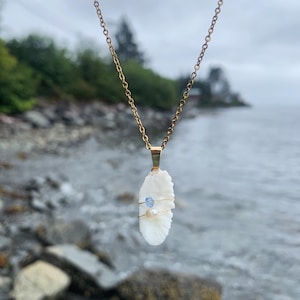 May include: A gold chain necklace with a white seashell pendant accented with blue and white beads. The necklace is photographed against a blurry background of rocks and water.