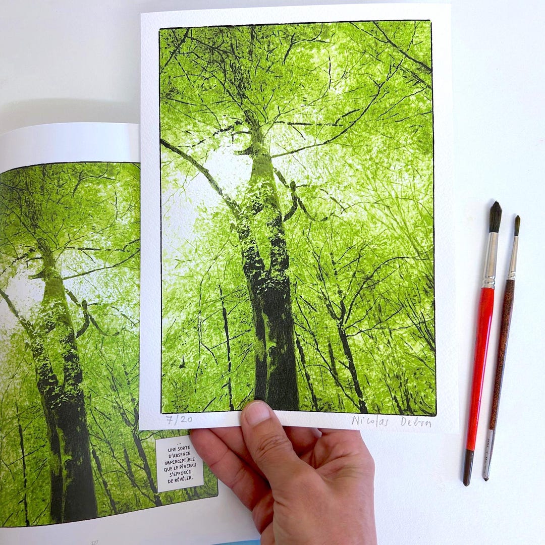 Art Print of a Beech Tree in Spring - Beech in Spring - Etsy