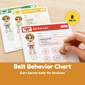 May include: A set of three rectangular behavior cards labeled Green Belt Card, Yellow Belt Card, and Red Belt Card. Each card features a cartoon character in a white karate uniform with a matching belt, goal tracking circles, and text.