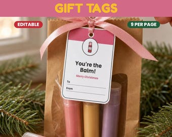 May include: A rectangular white gift tag with a pink top border and a small lip balm icon. The text reads "You're the Balm!", "Merry Christmas", "To", and "From". The tag is tied with a pink ribbon to a brown paper bag containing three lip balms.