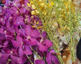 Tout va bien Boquet