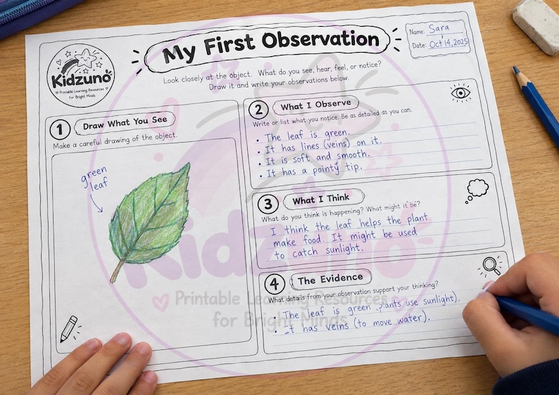Science Observation & Investigation Journal | 20 Science Worksheets ...