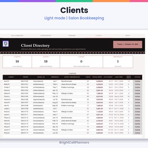 K&ouml;nnte beinhalten: Ein digitales Buchhaltungs-Dashboard f&uuml;r Salons mit dem Titel Client Directory, das eine Tabelle mit Kundendaten wie Namen, Telefonnummern, E-Mails, Geburtstagen, Besuchen, Gesamtausgaben und aktivem Status anzeigt.