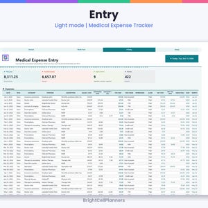 Puede incluir: Una hoja de c&aacute;lculo digital para el seguimiento de gastos m&eacute;dicos en modo claro. La interfaz muestra un panel de Medical Expense Entry con columnas para fecha, persona, categor&iacute;a, proveedor, descripci&oacute;n y varios costos.