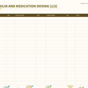 May include: A digital planner page titled Insulin and Medication Dosing (1/2) with a brown header row containing columns for Date, Time, Insulin or Med, Dose, Carbs Covered, Site, and Notes. A vertical tab menu is on the left side.