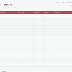 Long COVID Journal Digital, Pacing Planner, Energy Envelope, PEM Tracker, Symptom Log, Heart Rate, Brain Fog Tracker image 6