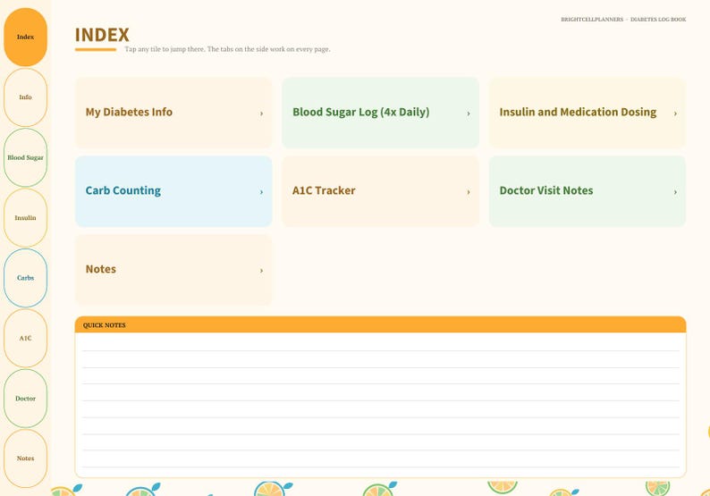 May include: A digital diabetes log book index page featuring a vertical navigation bar with circular tabs. The main area contains rectangular tiles labeled My Diabetes Info, Blood Sugar Log, Insulin and Medication Dosing, Carb Counting, A1C Tracker, Doctor Visit Notes, and Notes, plus a Quick Notes section.