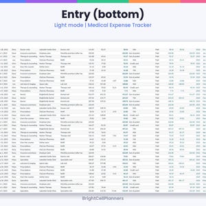 Puede incluir: Una hoja de c&aacute;lculo digital de seguimiento de gastos m&eacute;dicos titulada Entry (bottom) Light mode. La tabla muestra columnas para fechas, nombres, categor&iacute;as, proveedores, descripciones y varios importes financieros.