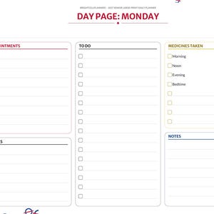 May include: A digital daily planner page titled DAY PAGE: MONDAY with sections for APPOINTMENTS, TO DO, MEDICINES TAKEN, MEALS, and NOTES. A vertical navigation bar on the left lists months and categories with colorful tabs.