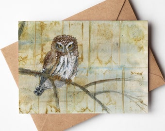 Northern Pygmy Owl 5x7 Greeting Card | Blank On Inside | Owl Card | Birder Gift | Upcycled Tea Bag Art | Bird Greeting Card |  Bird Art Gift