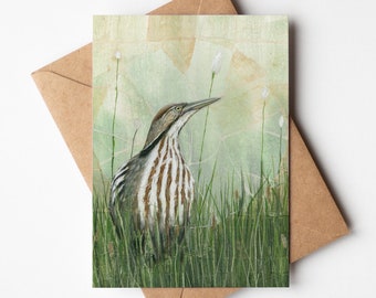 American Bittern 5x7 Greeting Card | Blank On Inside | Card for Guy or Man | Birder Gift | Tea Bag Art | Bird Greeting Card |  Bird Art Gift