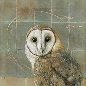 Barn Owl Painting | Owl Art Print | Owl Painting | Bird Art | Wildlife Painting | Owl Artwork | Owl Decor | Bird Wall Art | Animal Art Print