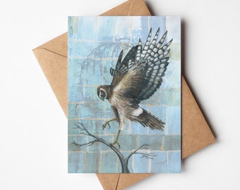 Northern Harrier 5x7 Greeting Card | Blank On Inside | Card for Him or Her | Birder Gift | Tea Bag Art | Bird Greeting Card |  Bird Art Gift