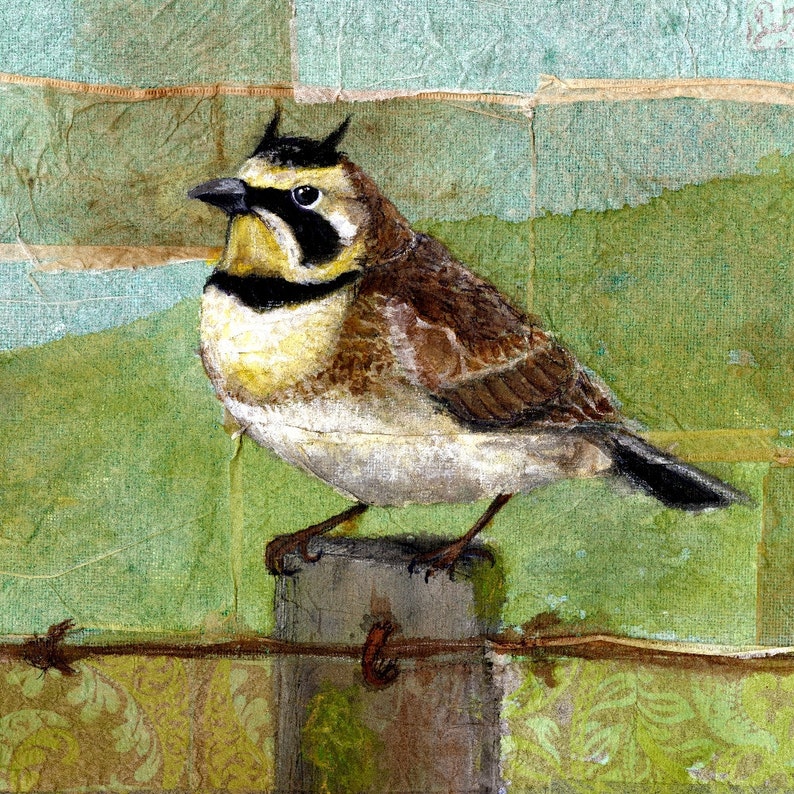 Horned Lark Painting Lark Print Bird Art Print Bird Etsy