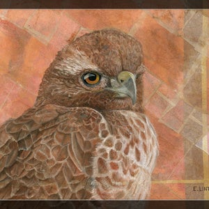 Red-Tailed Hawk Painting Hawk Wall Art Raptor Painting Wildlife Mixed Media Animal Art Print Bird illustration Tea Bag Décor image 6