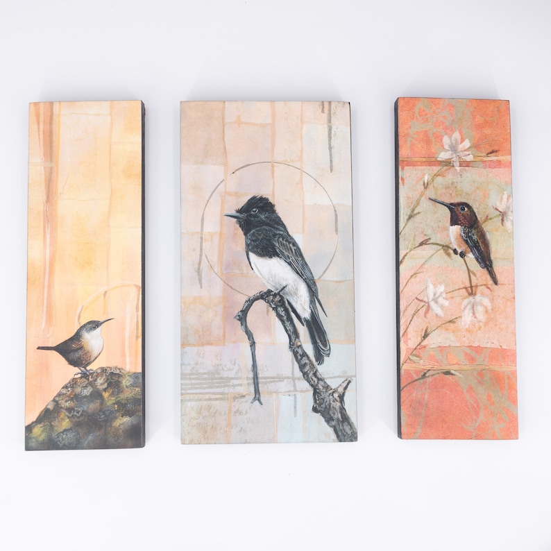 May include: Three framed art prints featuring birds. The left print shows a small brown bird perched on a branch. The center print shows a black and white bird perched on a branch. The right print shows a hummingbird perched on a branch with pink flowers.