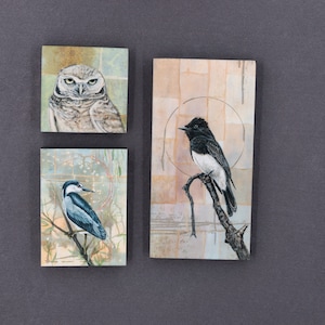 May include: Three framed paintings with nature scenes. The top painting features a white and gray owl with a brown background. The middle painting features a blue and white bird perched on a branch with a green and brown background. The bottom painting features a black and white bird perched on a branch with a brown and beige background.