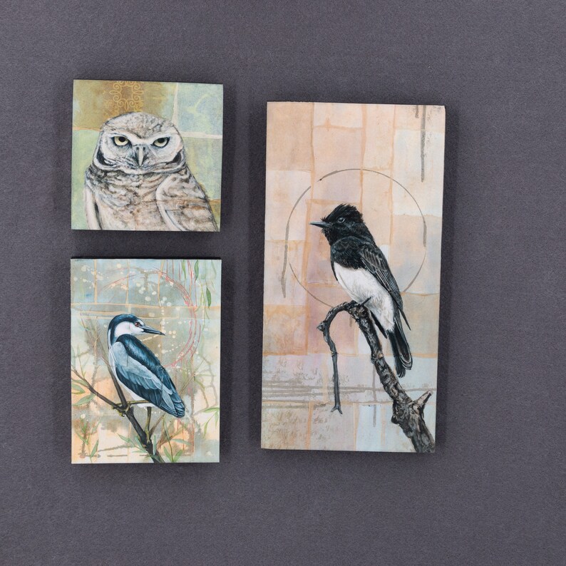 May include: Three framed paintings with nature scenes. The top painting features a white and gray owl with a brown background. The middle painting features a blue and white bird perched on a branch with a green and brown background. The bottom painting features a black and white bird perched on a branch with a brown and beige background.