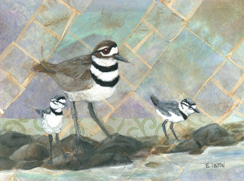 Killdeer Family Bird Painting Bird Artwork Bird Decor Etsy