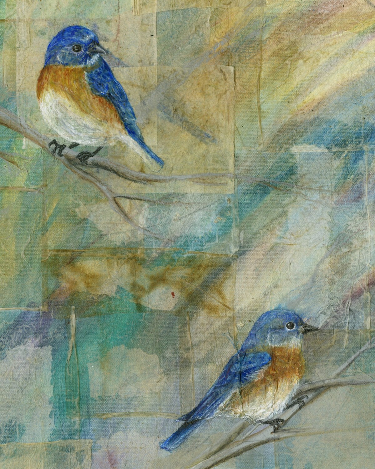 Eastern Bluebird Painting Bluebird Art Animal Art Print Bird