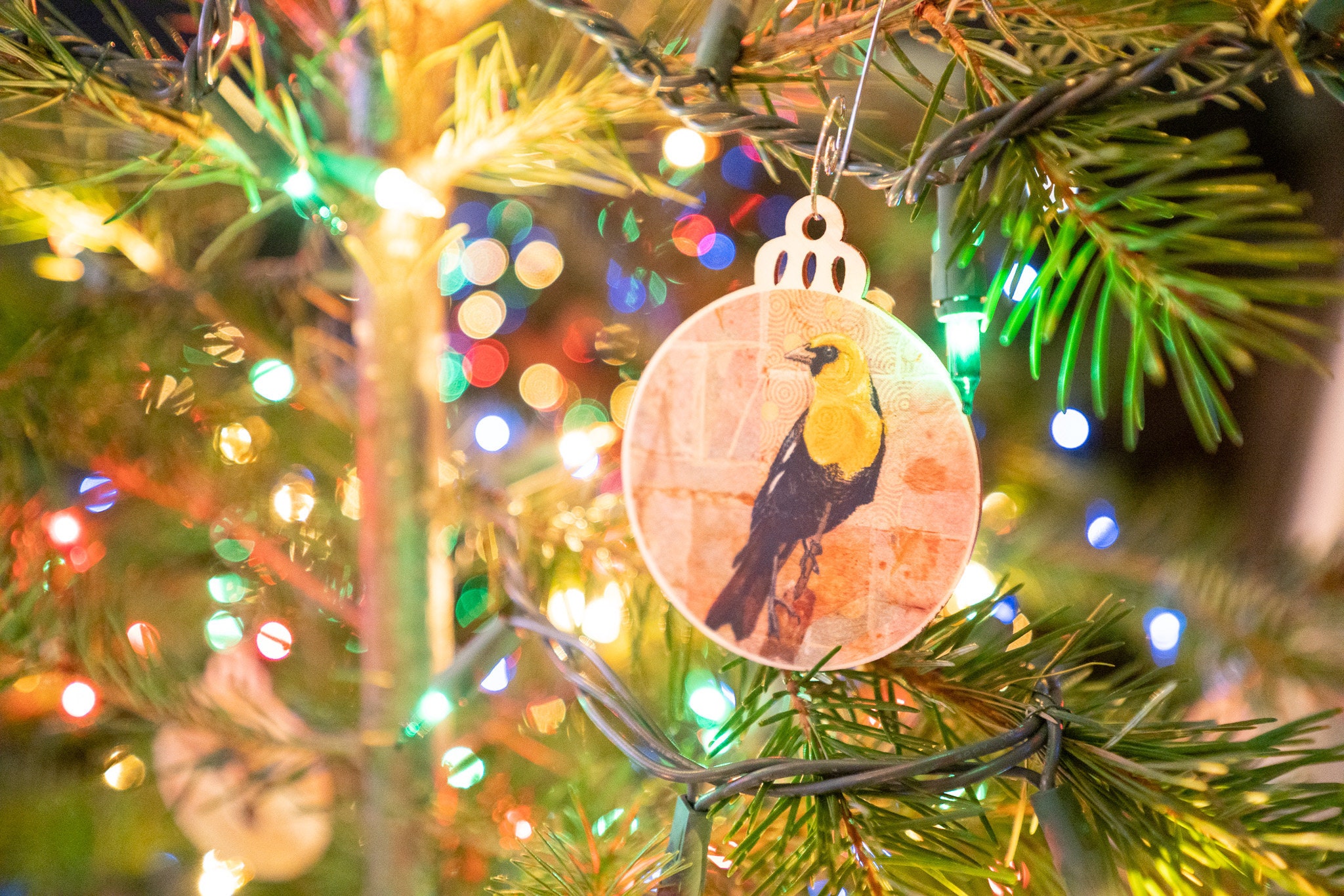 Black Oystercatcher Ornament Christmas Ornament Bird Etsy