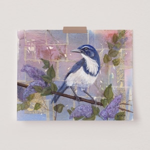 California Scrub Jay Painting | Bird Art Print | Jay Artwork | Wildlife Décor | Animal Art Print | Bird illustration | Tea Bag Painting