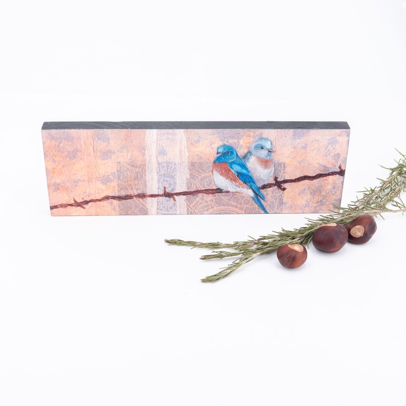 May include: A rectangular wooden sign with a painted image of two bluebirds perched on a barbed wire fence. The background is a textured, peach-colored design.