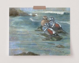 Harlequin Ducks Painting | Tea Bag Artwork | Waterfowl Décor | Animal Art Print | Wild Bird Wall Art | Bird Illustration | Gift for Birder